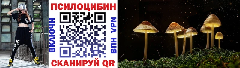 Галлюциногенные грибы Psilocybine cubensis  Городец 