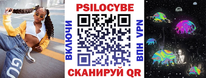 Галлюциногенные грибы Psilocybe Городец